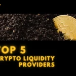 top 5 Crypto liquidity providers pools