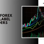 top 10 White label forex broker providers