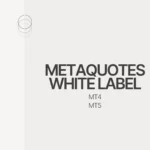 Metaquotes white label