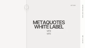 Metaquotes white label