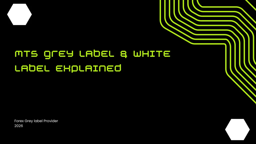 MT5 Grey label provider 2026