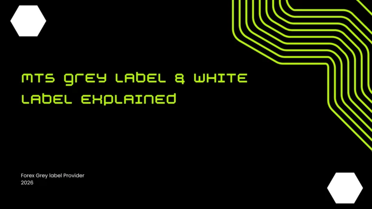 MT5 Grey label provider 2026